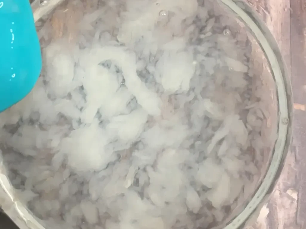 xanthan gum fish eggs