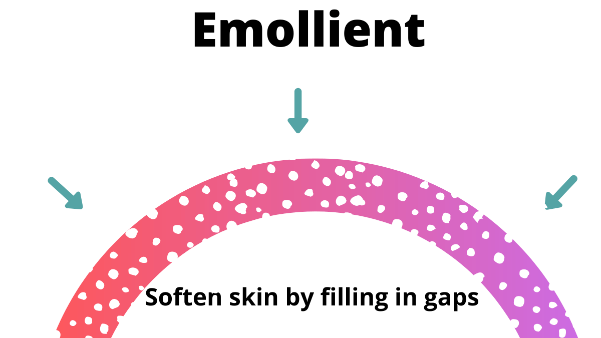 Humectants, Occlusives And Emollients Explained - Summer Rain