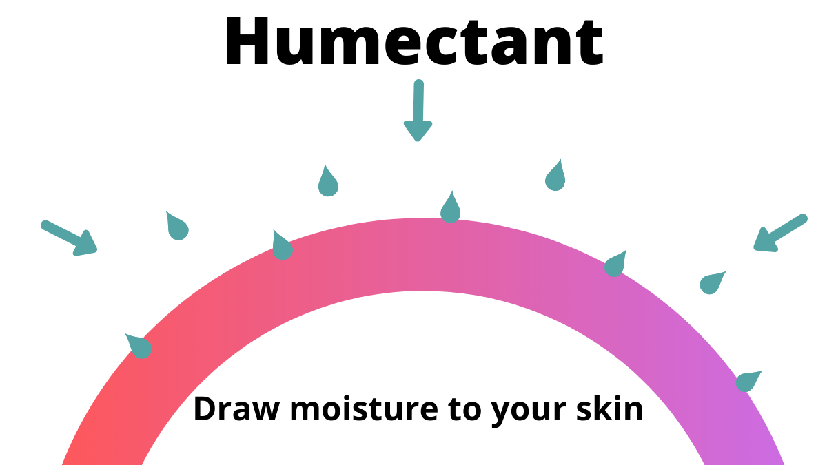 Humectants, Occlusives And Emollients Explained - Summer Rain