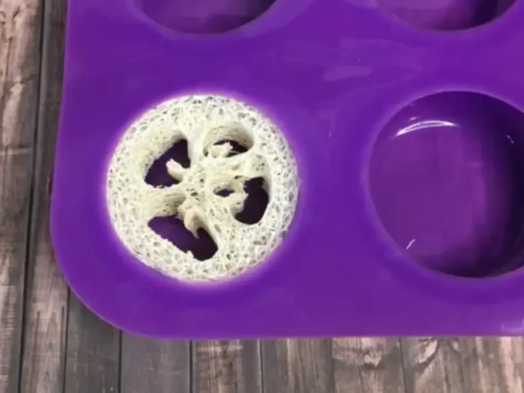 placing luffa in mold