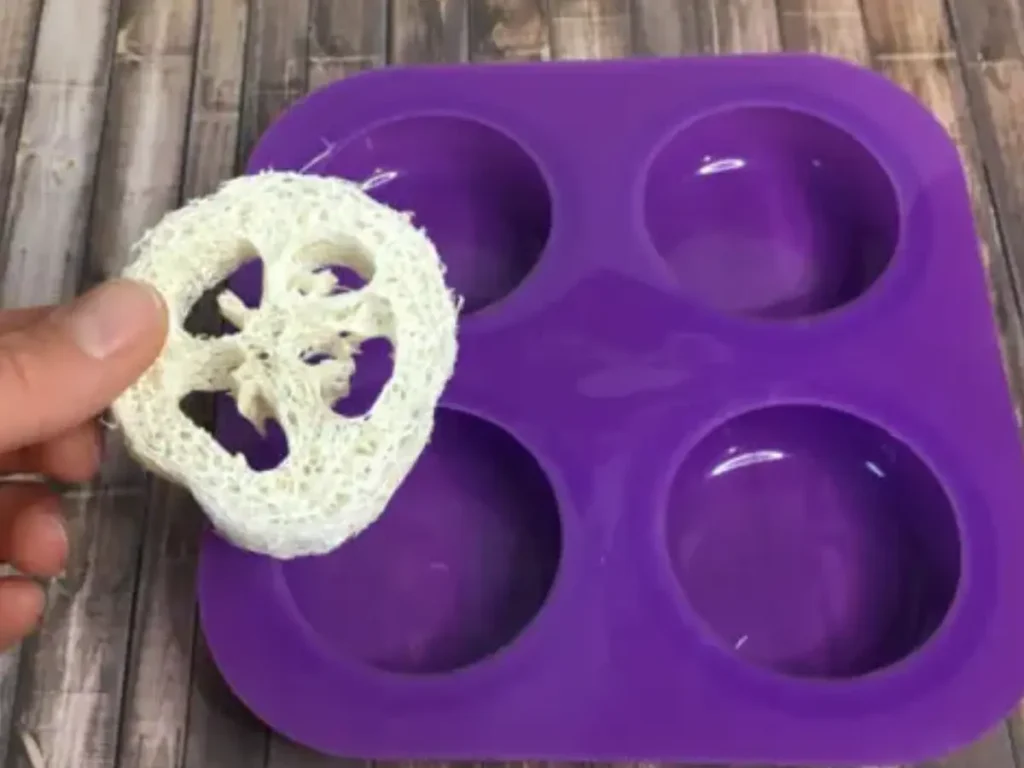 showing luffa next to mold
