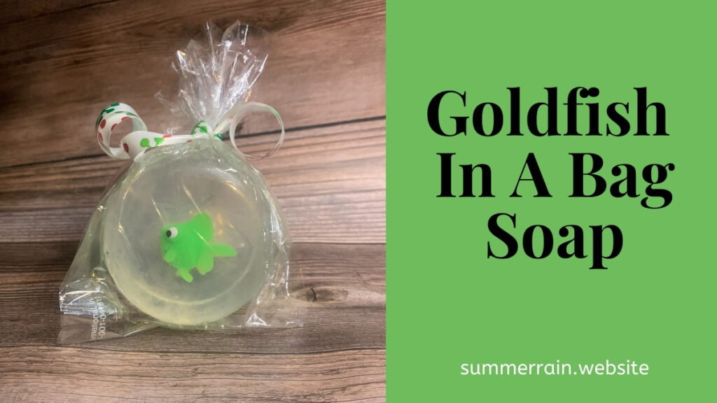 goldfish in a bag picture
