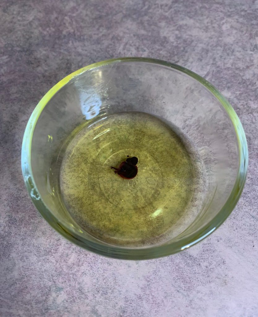 lip tint in lip balm