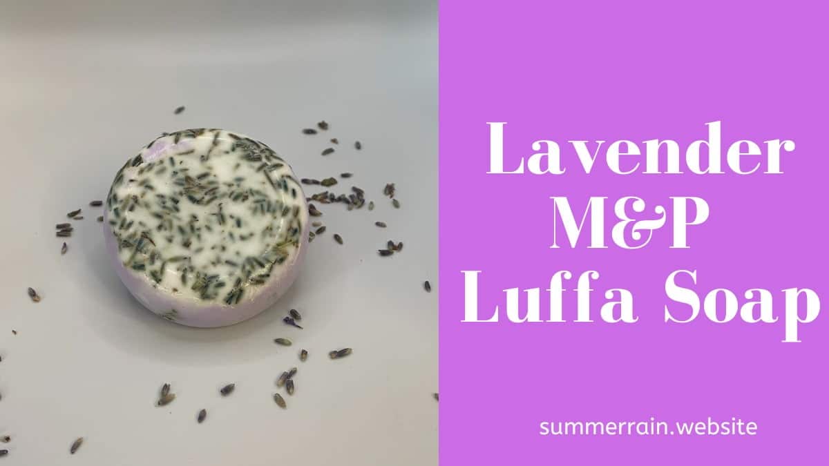 Lavender Melt and Pour Luffa Soap