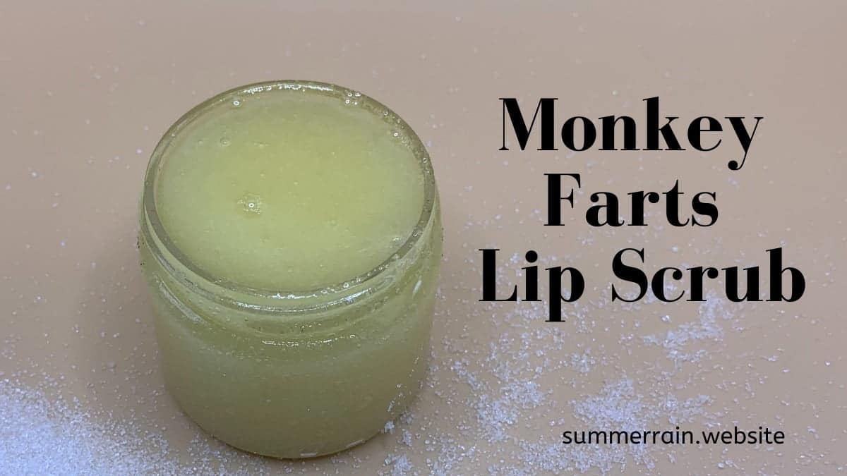 monkey farts sugar lip scrub