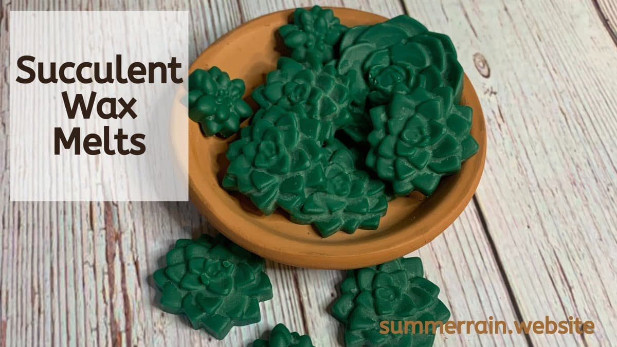 Succulent Wax Melt