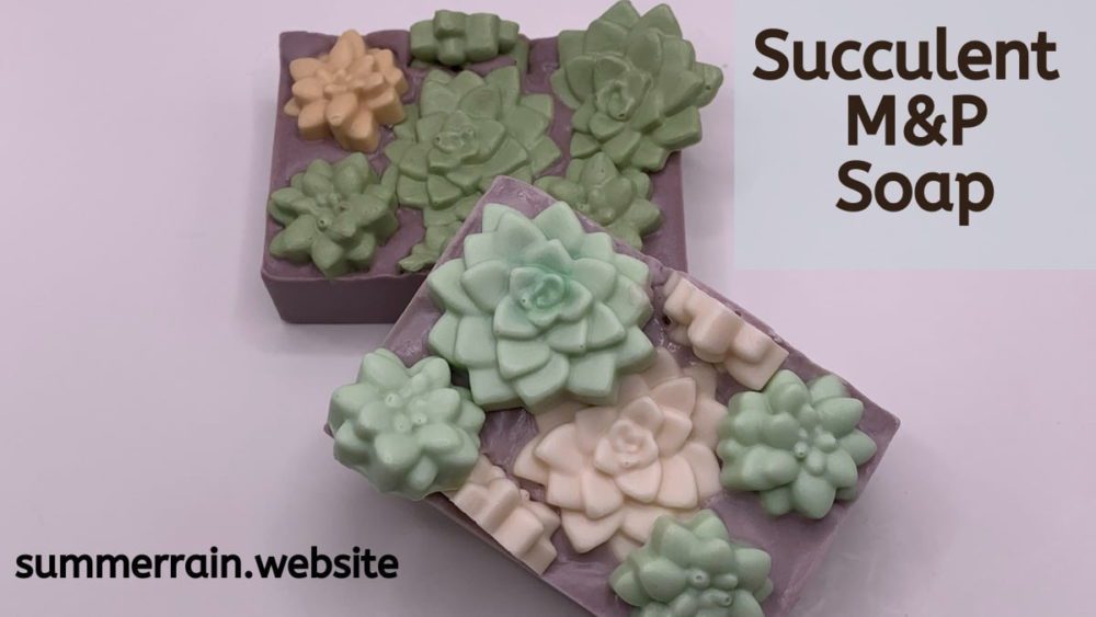 succulent mp soap