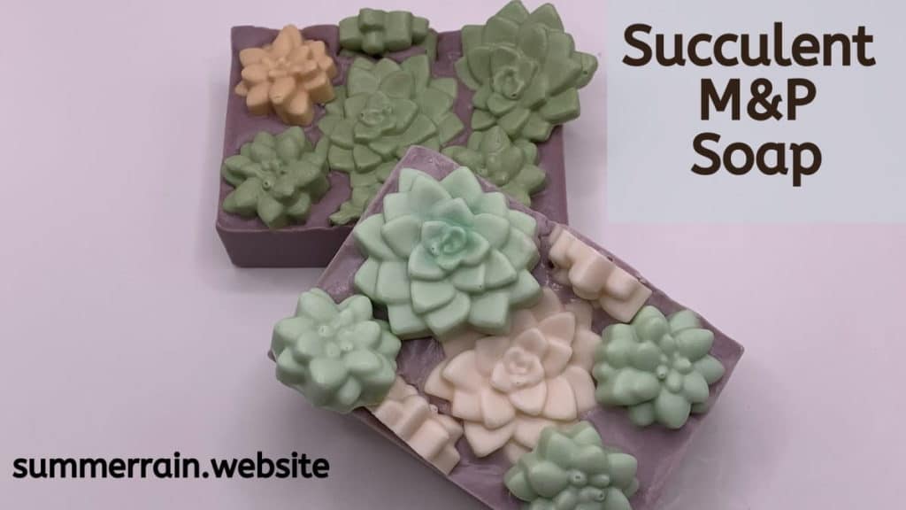 succulent mp soap
