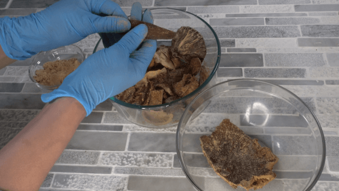 potpourri adding orris root powder 