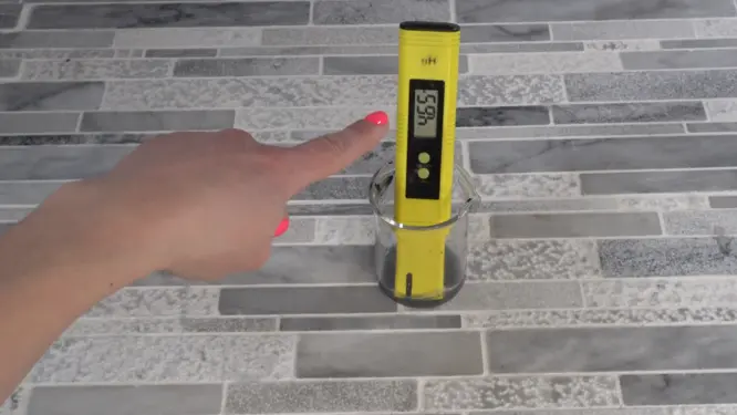 how to test shampoo bar pH using 10 percent dilution