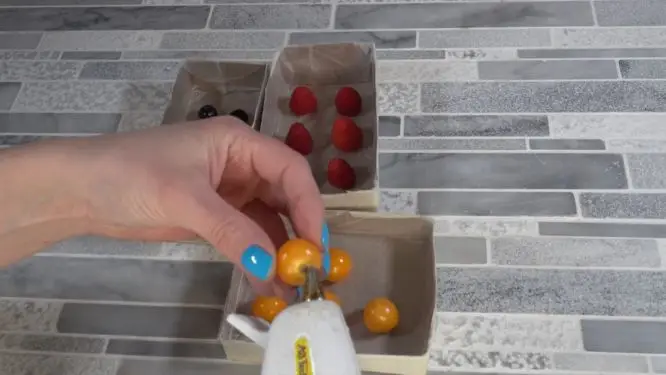 placing fruit into box for mold making 
