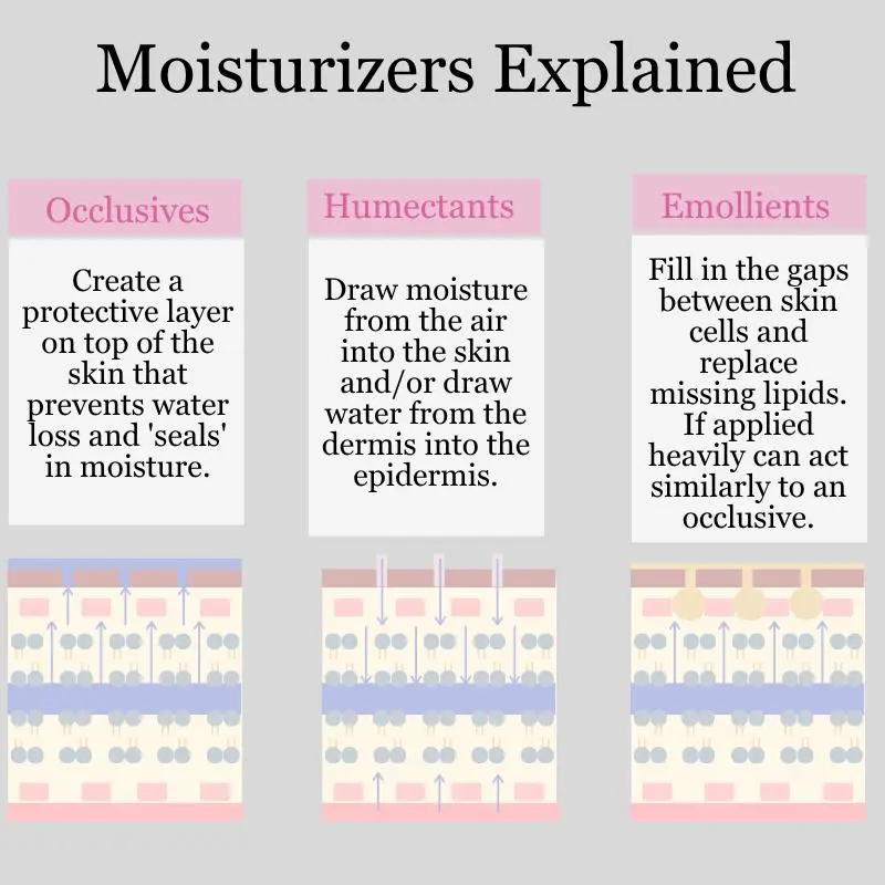 moisturizers explained, humectants, occlusives and emollients