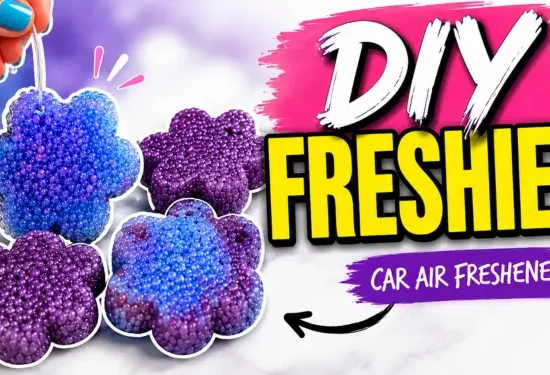 DIY Freshies