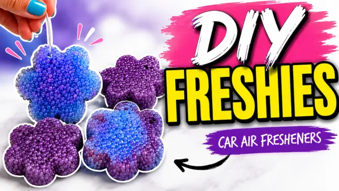 DIY Freshies