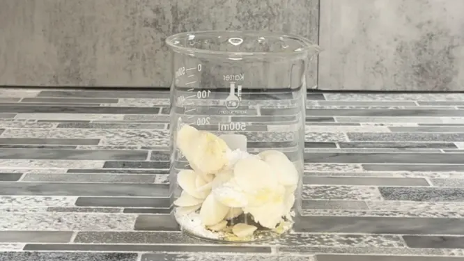 Weighing mango butter, cocoa butter, shea butter, candelilla wax, and cetyl alcohol into a heat-safe container